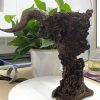 VIP Collection Crafts Sword OF The Berserk Nosferatu Zodd Fushi No Zoddo Figure Statue Bust 2 - Berserk Merch
