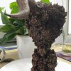 VIP Collection Crafts Sword OF The Berserk Nosferatu Zodd Fushi No Zoddo Figure Statue Bust 3 - Berserk Merch