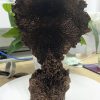 VIP Collection Crafts Sword OF The Berserk Nosferatu Zodd Fushi No Zoddo Figure Statue Bust 4 - Berserk Merch